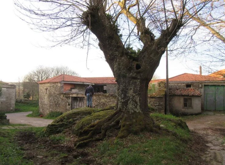 Torre de Fafián, Spain